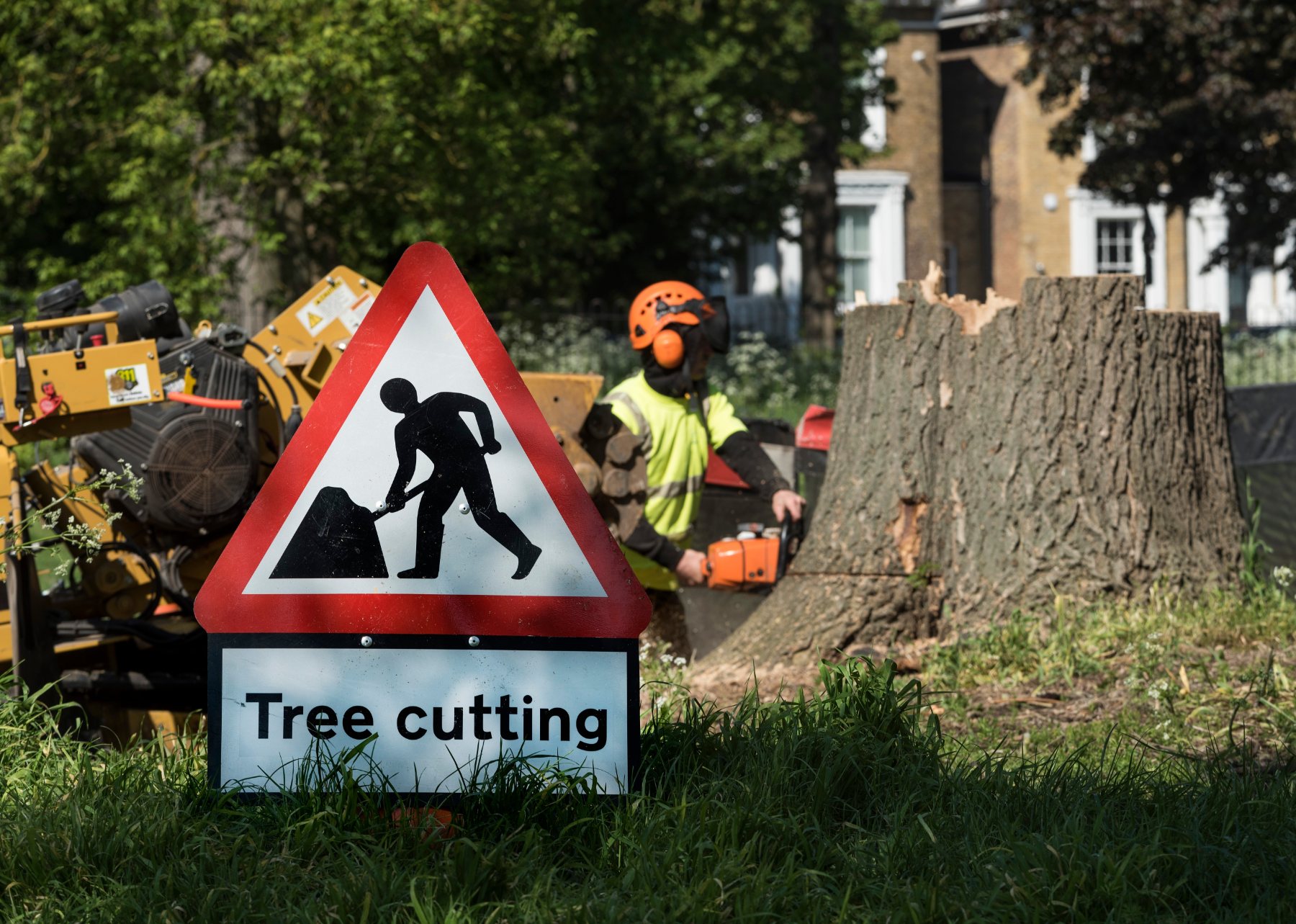 Tree Removal and Tree Felling in Kent and South East London